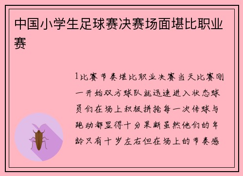 中国小学生足球赛决赛场面堪比职业赛